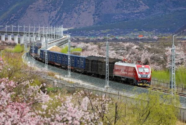 人間桃花源！林芝桃花有多絕？