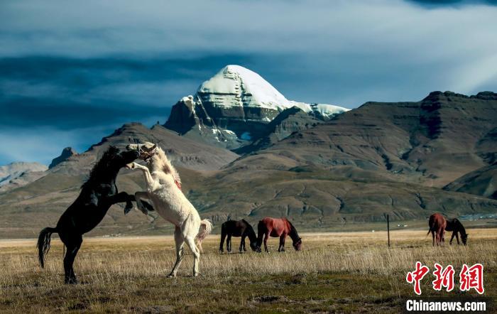 圖為參展攝影師拍攝的西藏阿里岡仁波齊?！≈鬓k方 供圖