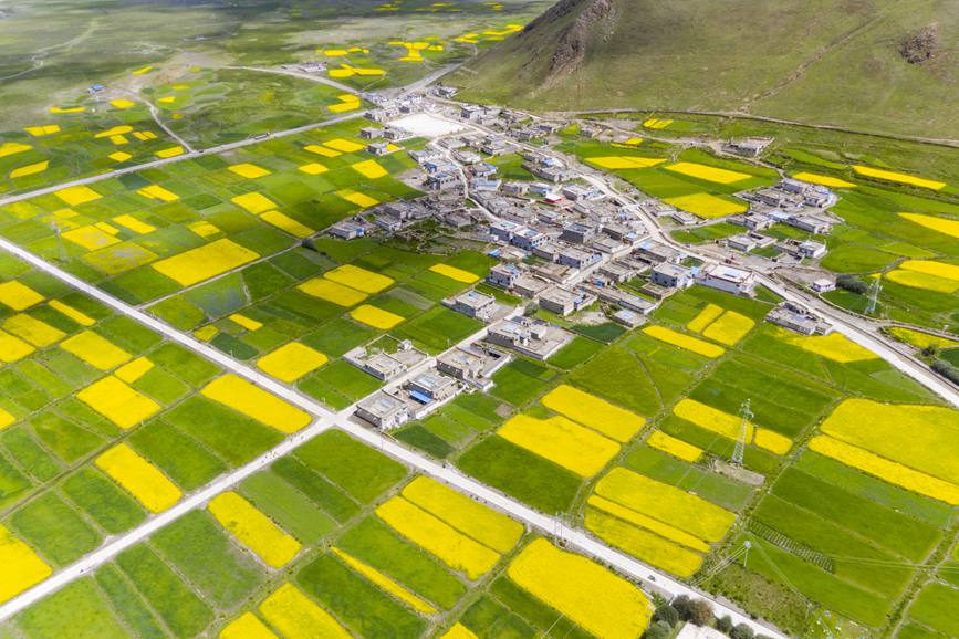 航拍道布龍村，依山傍水，阡陌縱橫。