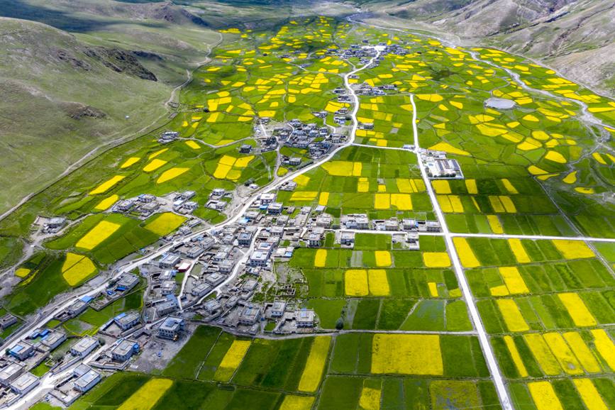航拍道布龍村，依山傍水，阡陌縱橫。