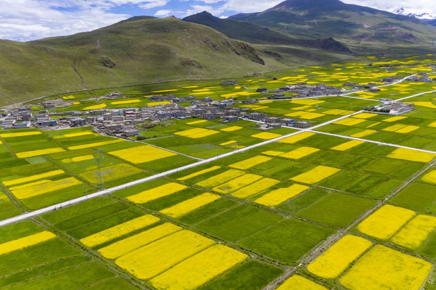 航拍道布龍村，依山傍水，阡陌縱橫。