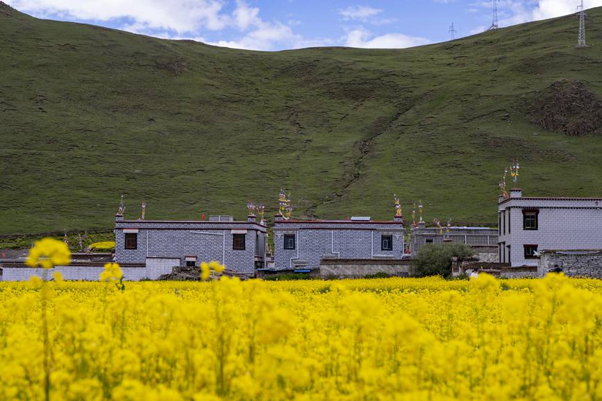 環(huán)境優(yōu)美的道布龍村一角。