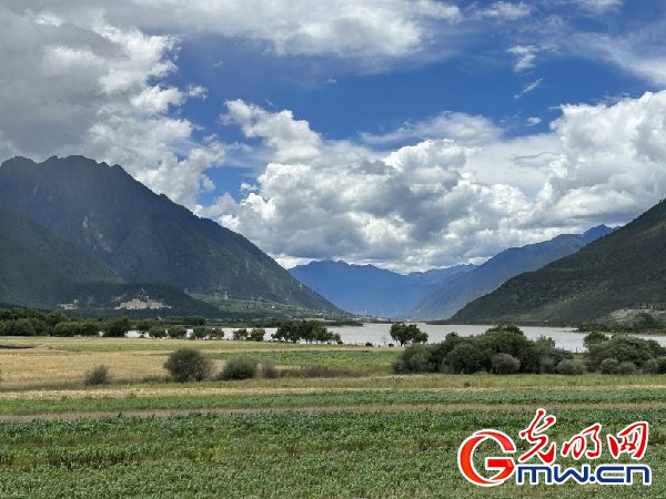 我們的家園｜林芝米林縣：河長(zhǎng)護(hù)藥洲，碧水映花谷