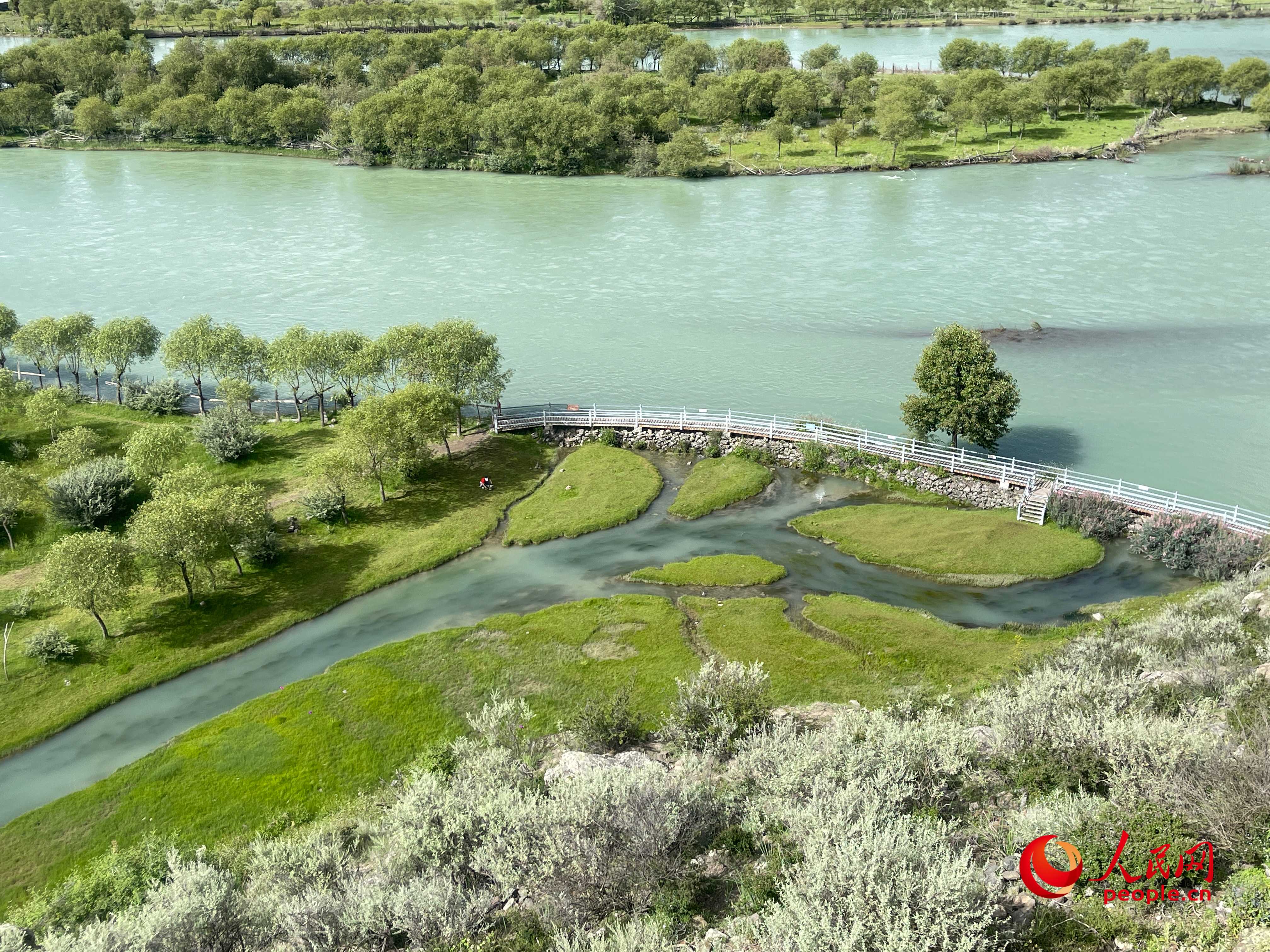 夏日的雅尼國家濕地公園生機盎然，如詩如畫。人民網(wǎng) 周靜圓攝