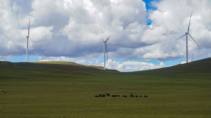 西藏措美哲古風電場首批3.6兆瓦風電機組并網(wǎng)發(fā)電。受訪者供圖