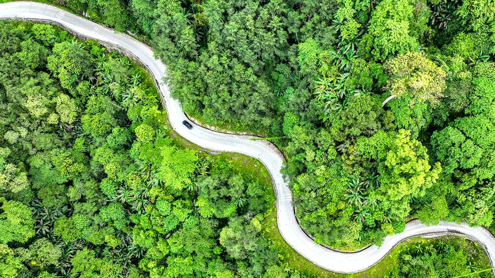 穿行于綠色間，生態(tài)優(yōu)良。張澤坤攝