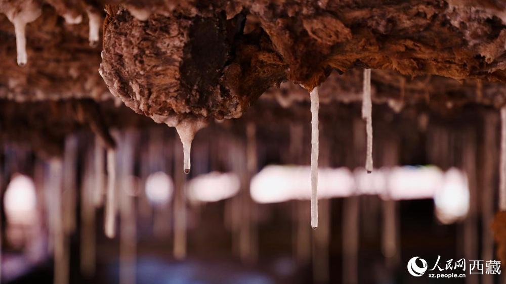 自然滲下的鹽柱結(jié)晶。人民網(wǎng)記者 次仁羅布攝