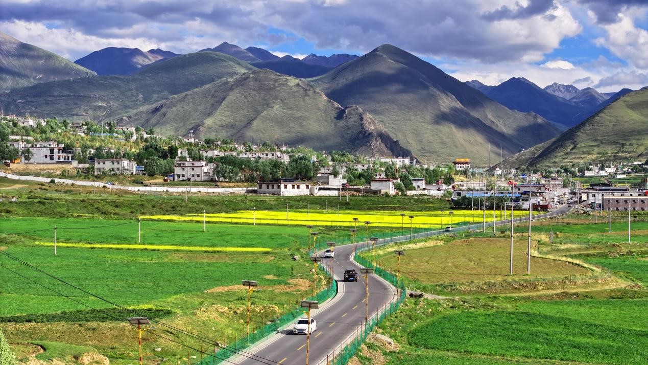 油菜花開“金”滿地。墨竹工卡縣委宣傳部 洛克攝