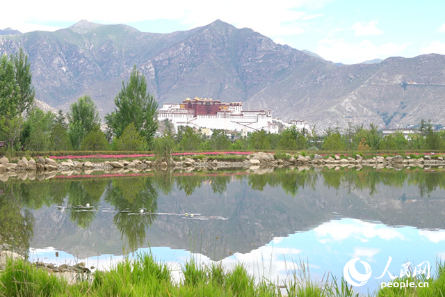 雄偉的布達(dá)拉宮與綠意蔥蘢的南山隔河相望。人民網(wǎng)記者 劉凡攝