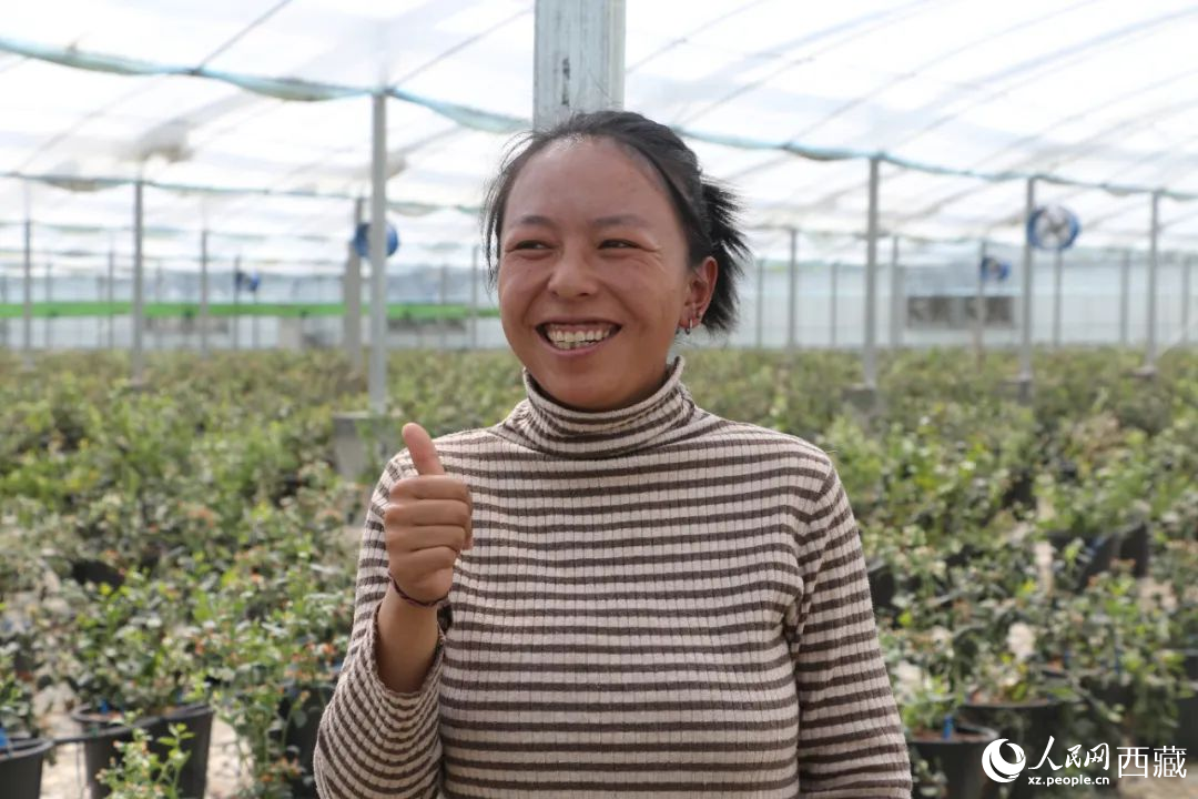 措姆品嘗自己精心照料的藍莓后，豎起了大拇指。次仁龍布攝