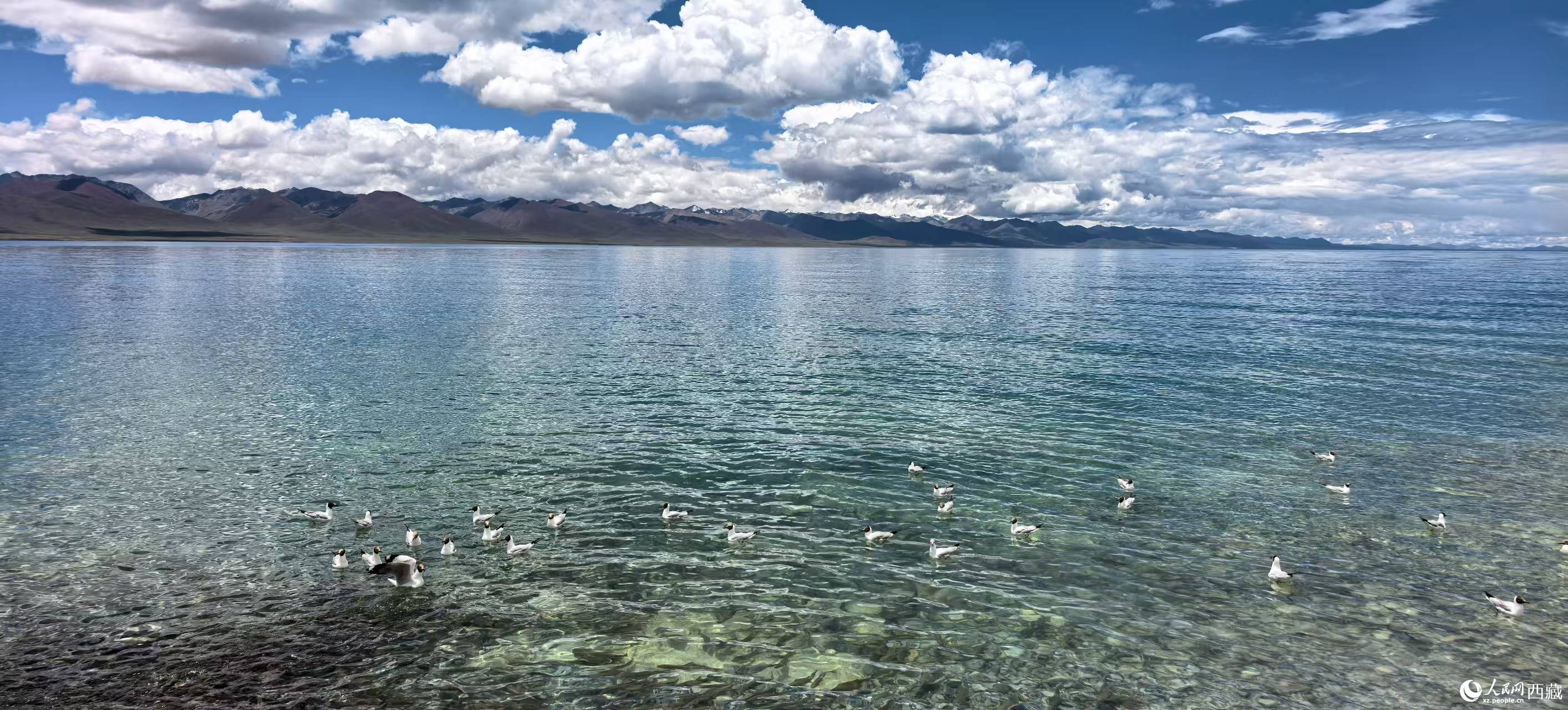 夏日納木錯 景美醉游人【6】