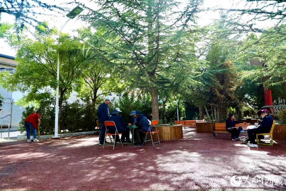老人們在綠樹成蔭的“社區(qū)會客廳”中對弈休憩。人民網(wǎng)記者 次仁羅布攝