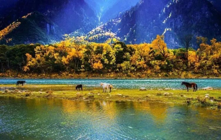 懂西藏的人，一定不會(huì)錯(cuò)過(guò)林芝的秋天