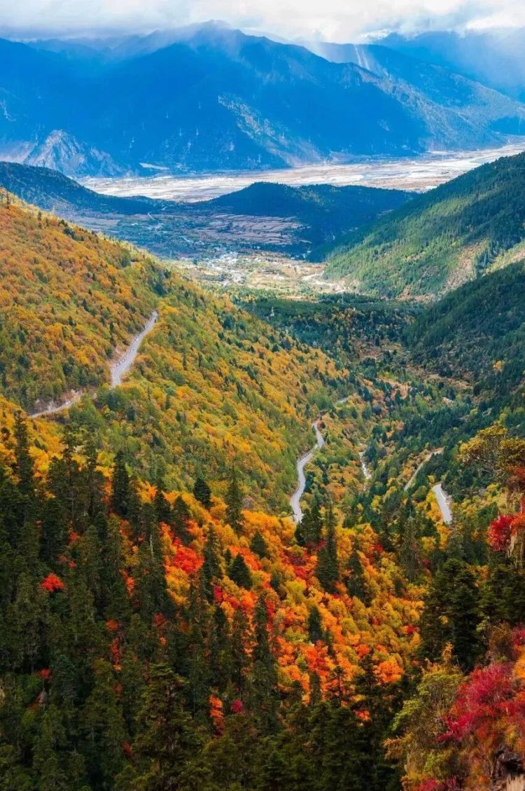 懂西藏的人，一定不會(huì)錯(cuò)過(guò)林芝的秋天