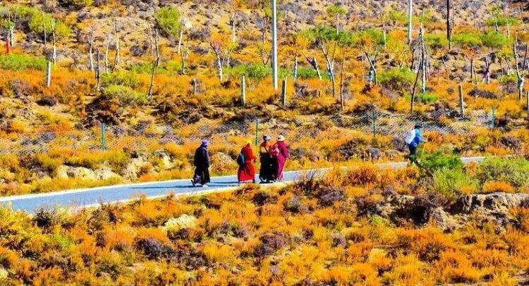 懂西藏的人，一定不會(huì)錯(cuò)過(guò)林芝的秋天