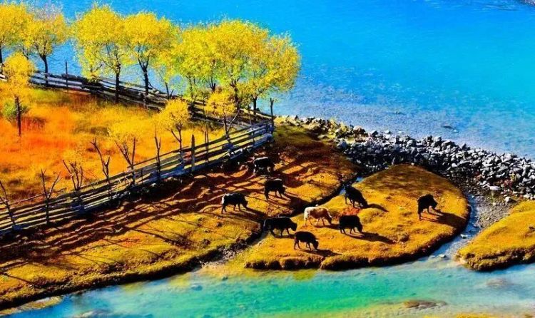 懂西藏的人，一定不會(huì)錯(cuò)過(guò)林芝的秋天