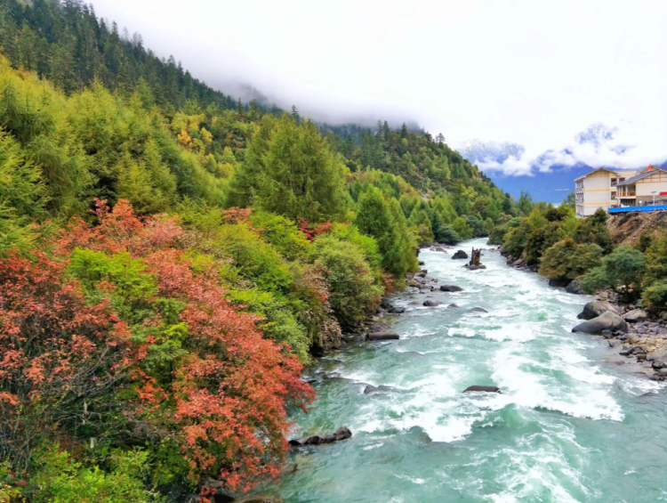 懂西藏的人，一定不會(huì)錯(cuò)過(guò)林芝的秋天