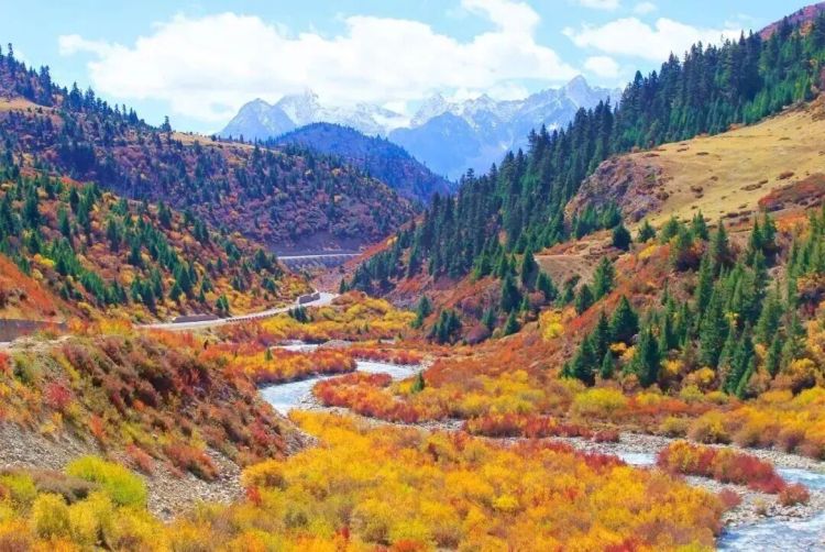 懂西藏的人，一定不會(huì)錯(cuò)過(guò)林芝的秋天