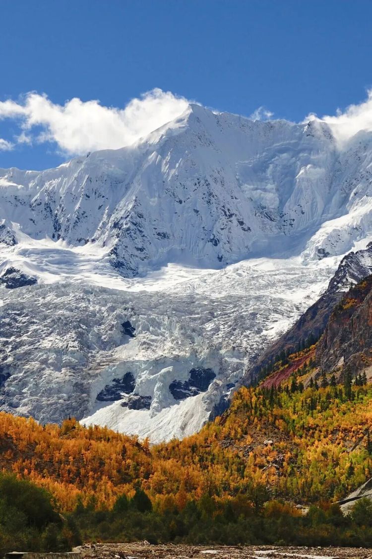 懂西藏的人，一定不會(huì)錯(cuò)過(guò)林芝的秋天