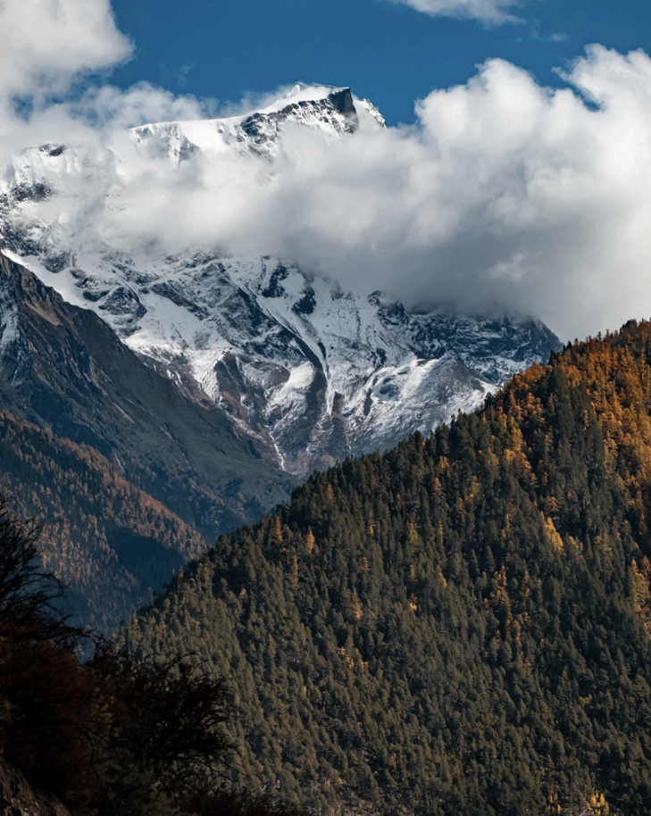 懂西藏的人，一定不會(huì)錯(cuò)過(guò)林芝的秋天