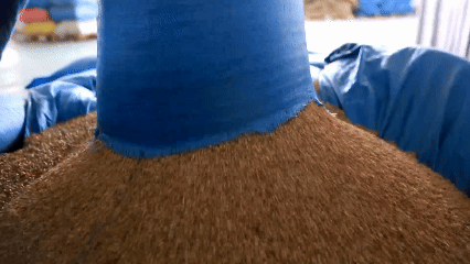 青稞“蛻變”，牦?！俺鋈Α保】次鞑剞r(nóng)牧民的“十四五”豐收答卷