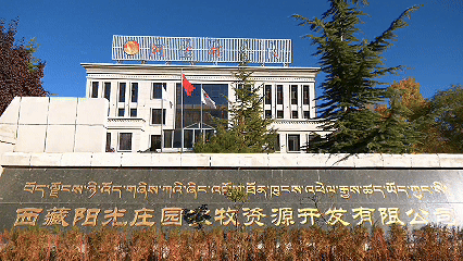 青稞“蛻變”，牦?！俺鋈Α?！看西藏農(nóng)牧民的“十四五”豐收答卷