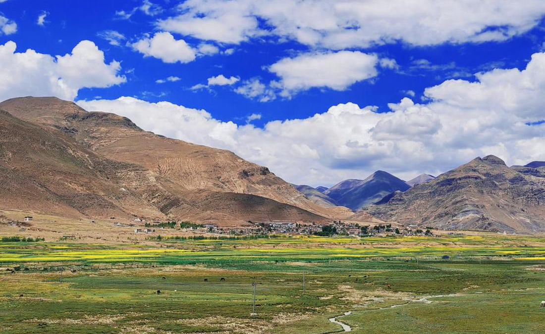 羌塘草原上的美好圖景。人民網(wǎng) 李海霞攝