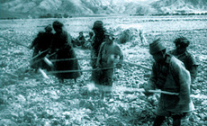 農(nóng)奴被強迫從事無償勞動