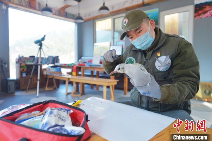山東青島：志愿者用行動呼吁“禁食野味戰(zhàn)勝疫情”