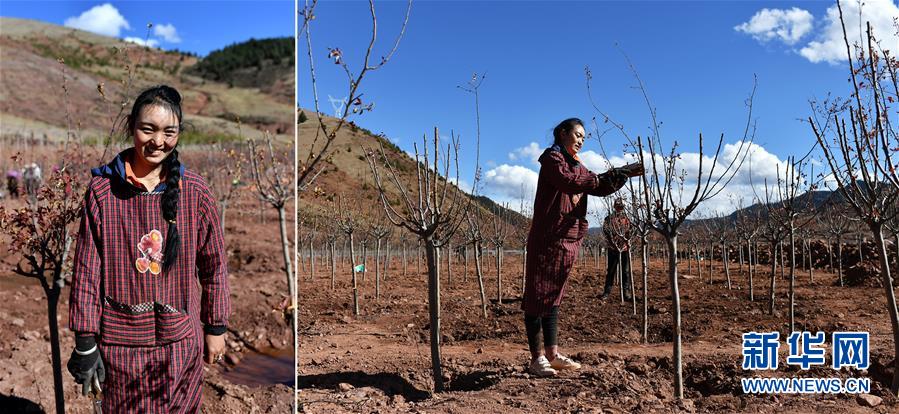 (脫貧攻堅(jiān)·圖片故事)(4)藏東大地脫貧影像