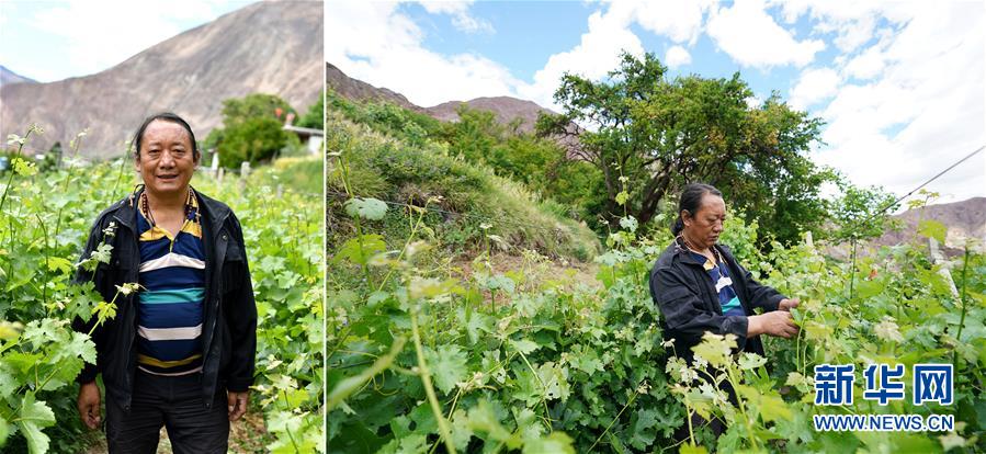 (脫貧攻堅(jiān)·圖片故事)(9)藏東大地脫貧影像