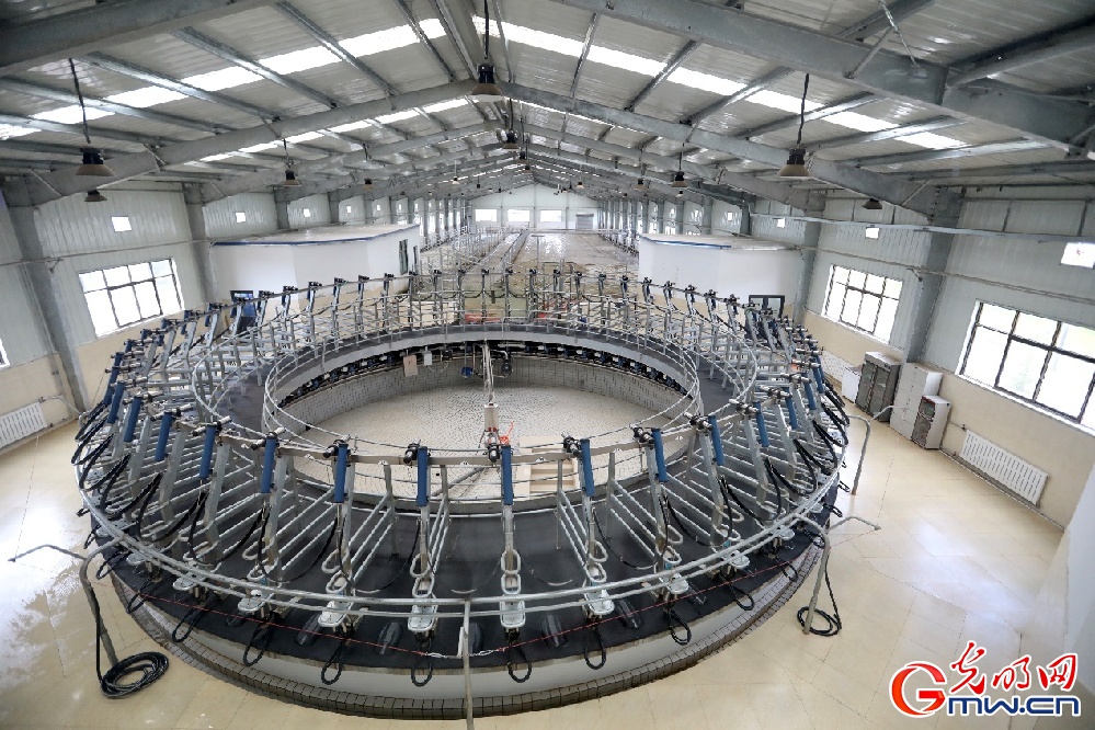 【幸?；ㄩ_新邊疆】大力發(fā)展西藏隆子縣特色產(chǎn)業(yè) 堅決打贏脫貧攻堅戰(zhàn)