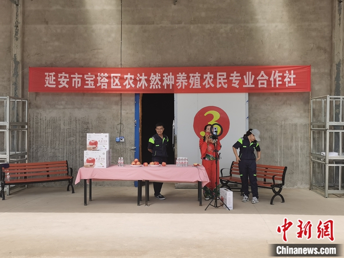 來源：柳林鎮(zhèn)果技園供圖。