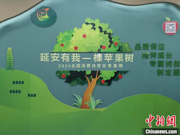 “延安有我一棵蘋果樹”。<a target='_blank'  ><p  align=