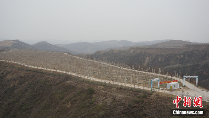 陜西省延安市安塞區(qū)高橋鎮(zhèn)南溝村生態(tài)示范園。 <a target='_blank'  ><p  align=
