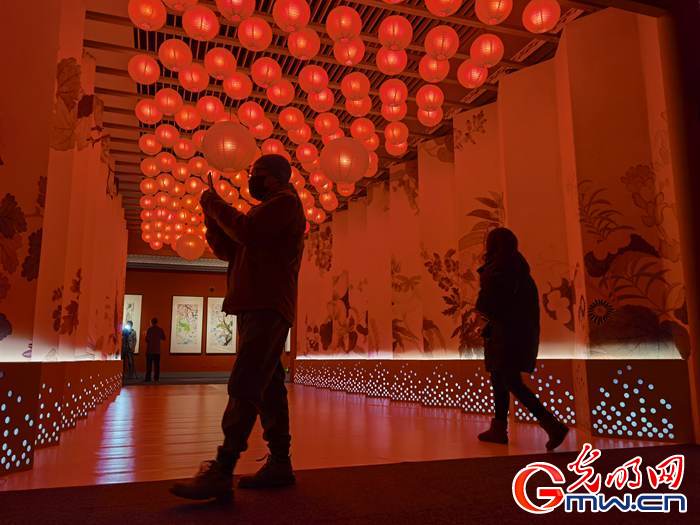 【新春走基層】視頻丨虎年看虎展！來國博感受虎文化