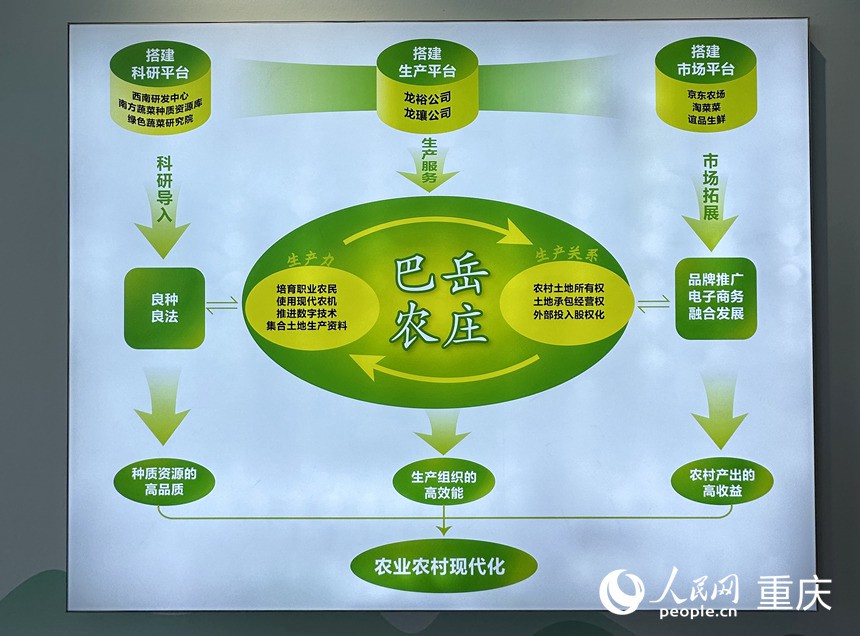 “巴岳農莊”運作示意圖。人民網(wǎng)記者 劉政寧攝