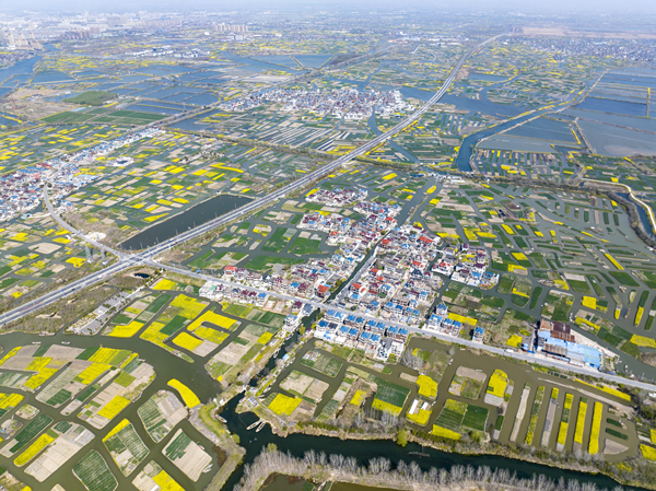 春天里的水鄉(xiāng)興化。周社根攝