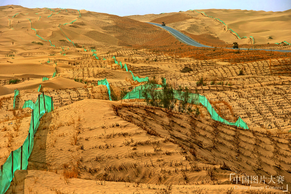 綠化大漠不是夢(mèng)