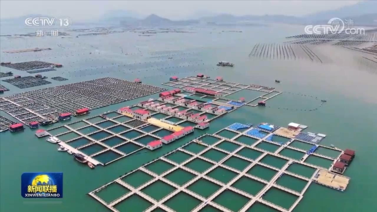 【走進(jìn)縣城看發(fā)展】福建霞浦：做強(qiáng)海洋經(jīng)濟(jì) 實現(xiàn)綠色發(fā)展